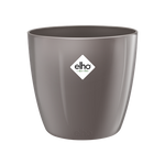 30cm BRUSSELS DIAMOND ROUND OYSTER PEARL