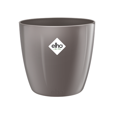 30cm BRUSSELS DIAMOND ROUND OYSTER PEARL