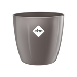 25cm BRUSSELS DIAMOND ROUND OYSTER PEARL