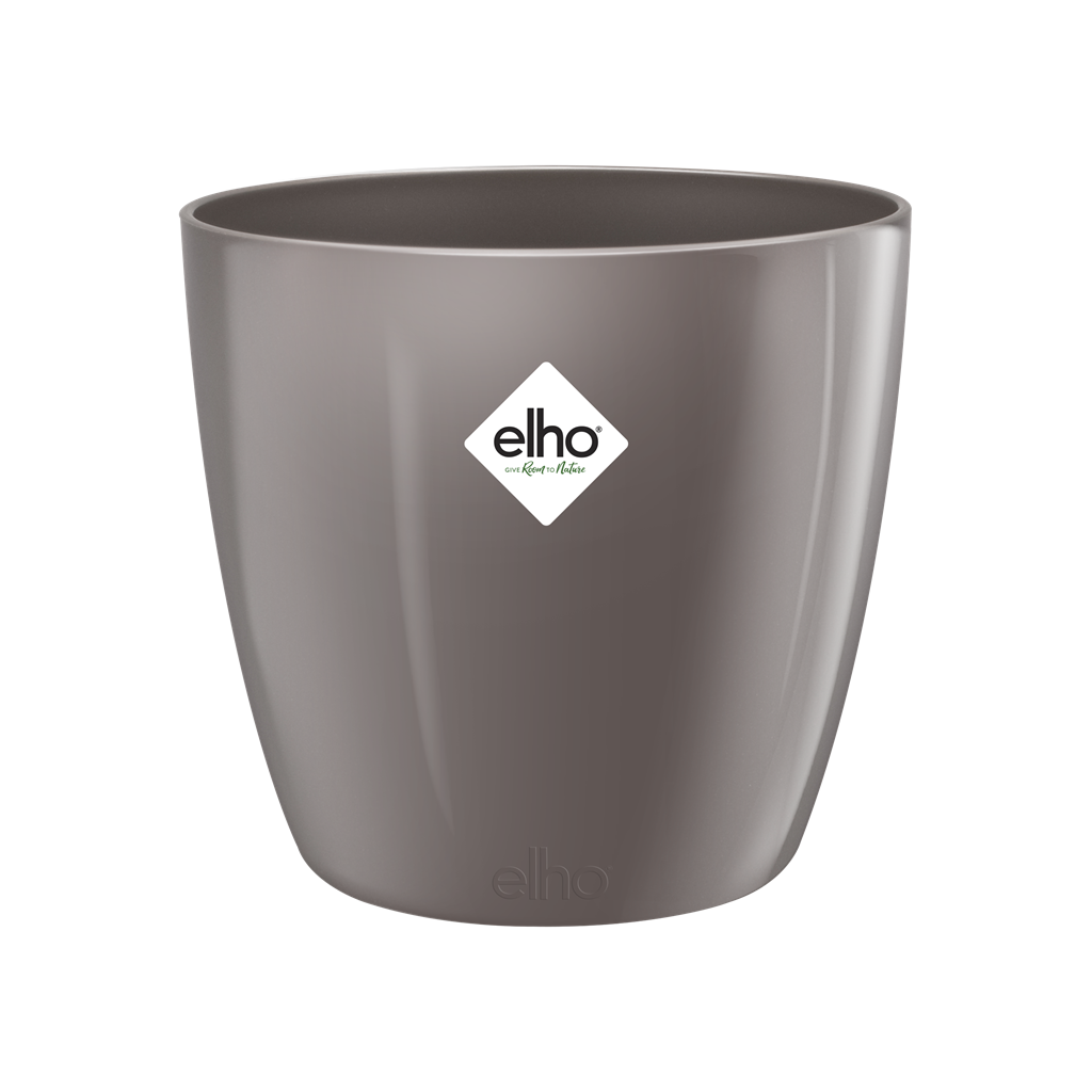 25cm BRUSSELS DIAMOND ROUND OYSTER PEARL