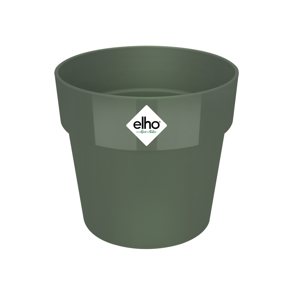 30cm B.FOR ORIGINAL ROUND LEAF GREEN