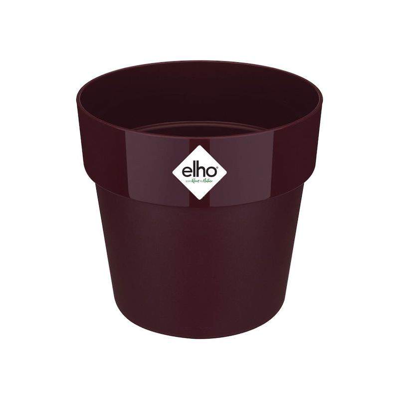 30cm B.FOR ORIGINAL ROUND PURPLE