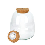 Mystery Ecosystem Without LED