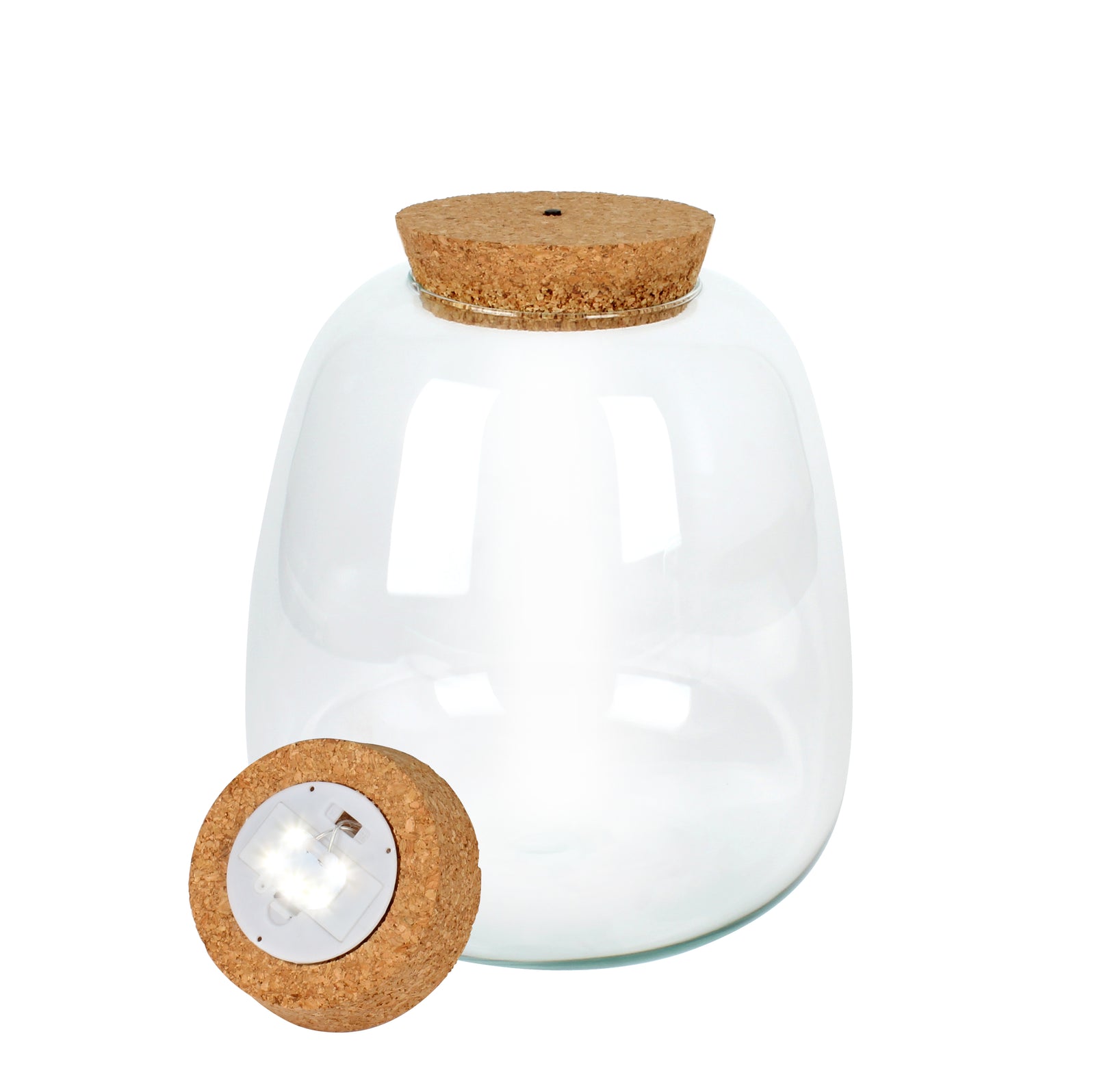 Mystery Ecosystem Without LED