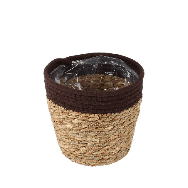 Mand Saga stro (bruin)