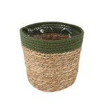 Mand Saga stro (groen)