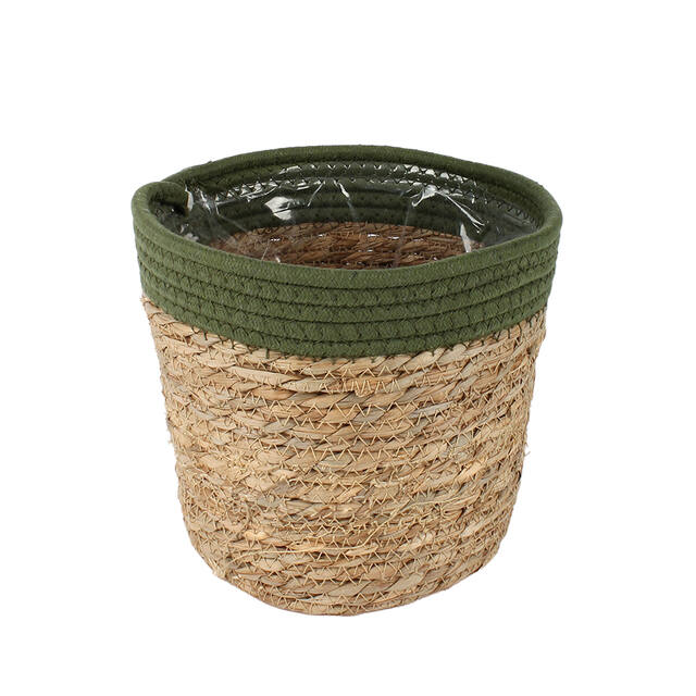 Mand Saga stro (groen)