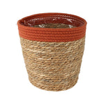 Mand Saga stro (terracotta)