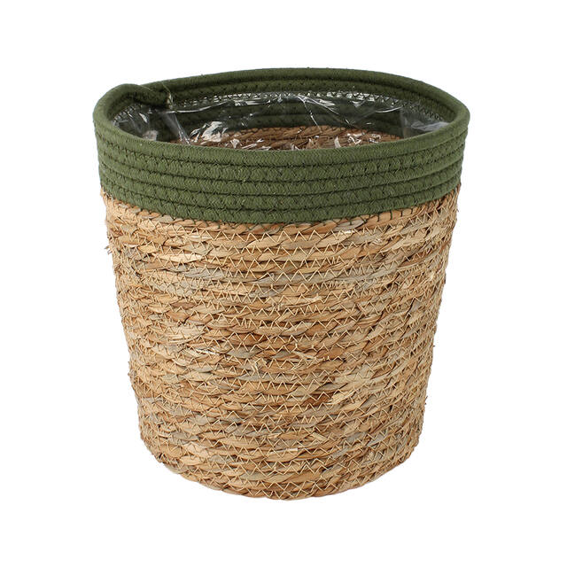 Mand Saga stro (groen)