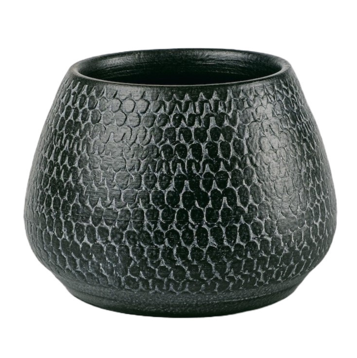 Merida (sierpot 'Kyoto')