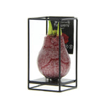 Amaryllis Bulb in Wax with Luxury Stand (Industrial Red) P10 H20