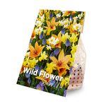50x Wild Flower Bulbs Mix (flower bulbs)
