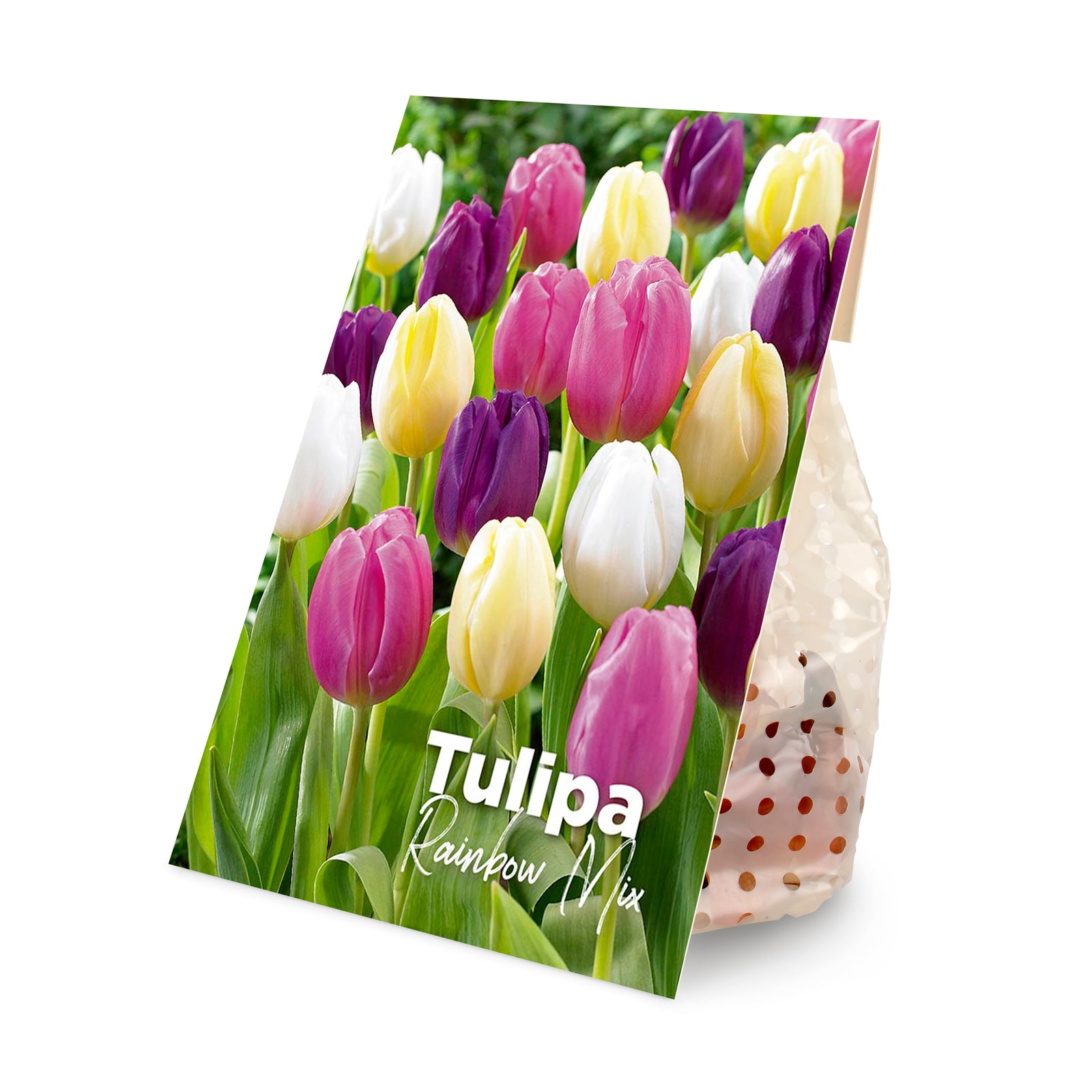 20x Tulipa Rainbow Mix (flower bulbs)