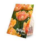 20x Tulipa Double Peach (flower bulbs)