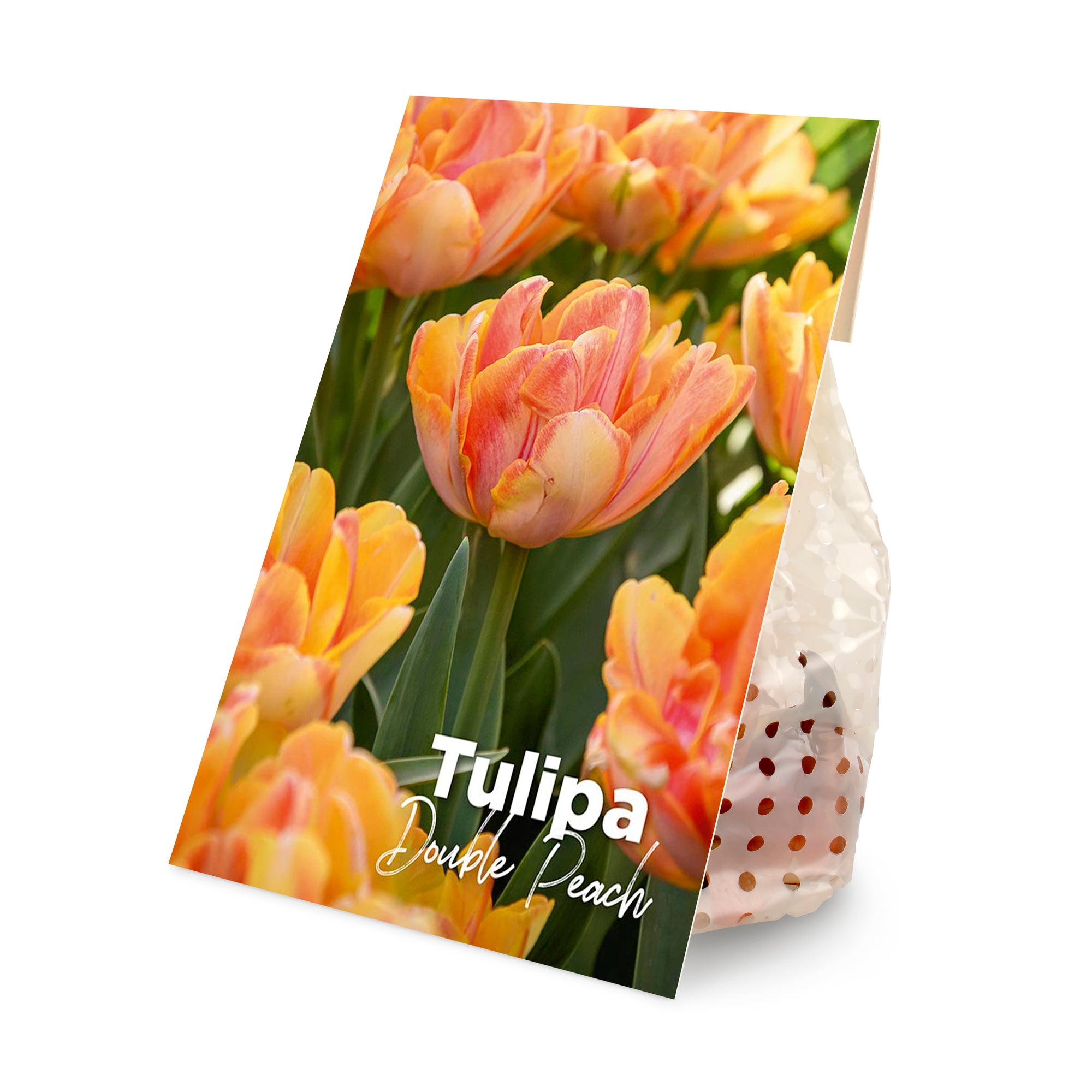 20x Tulipa Double Peach (flower bulbs)