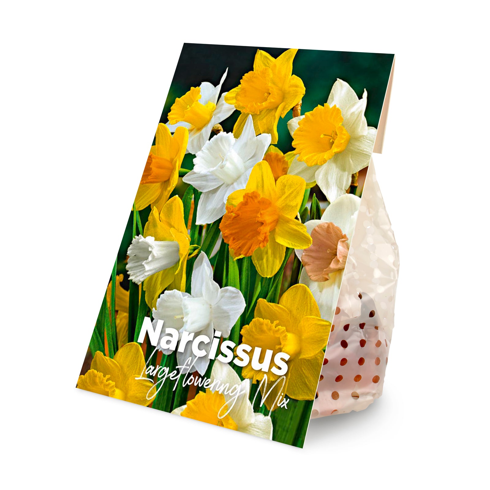 15x Narcissus Largeflowering Mix (flower bulbs)