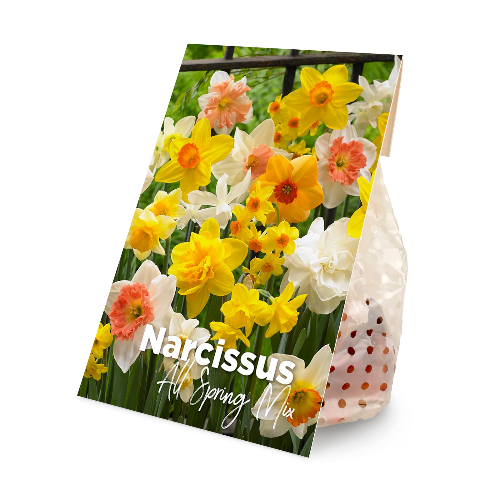 15x Narcissus All Spring Mix (flower bulbs)