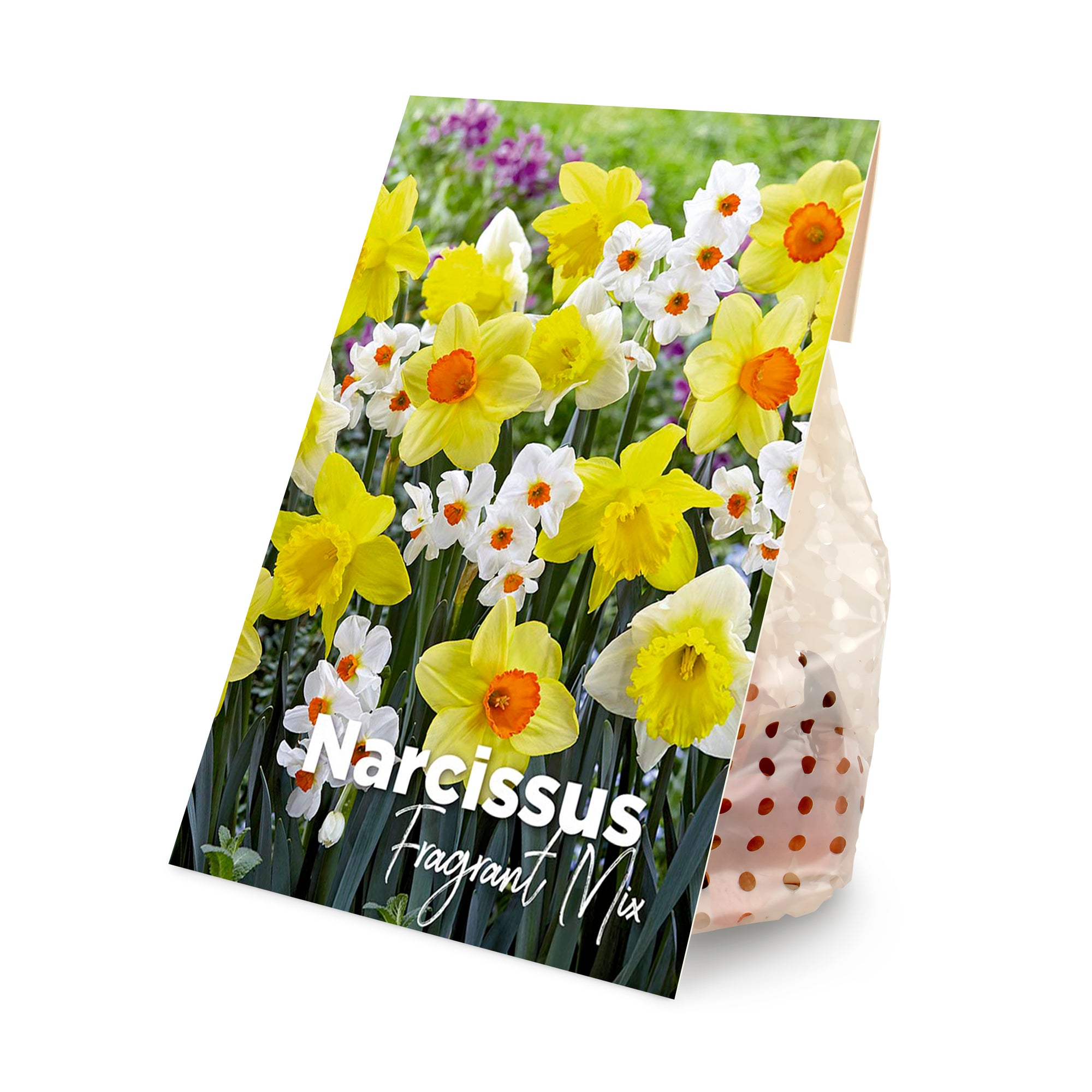 15x Narcissus Fragrant Mix (flower bulbs)